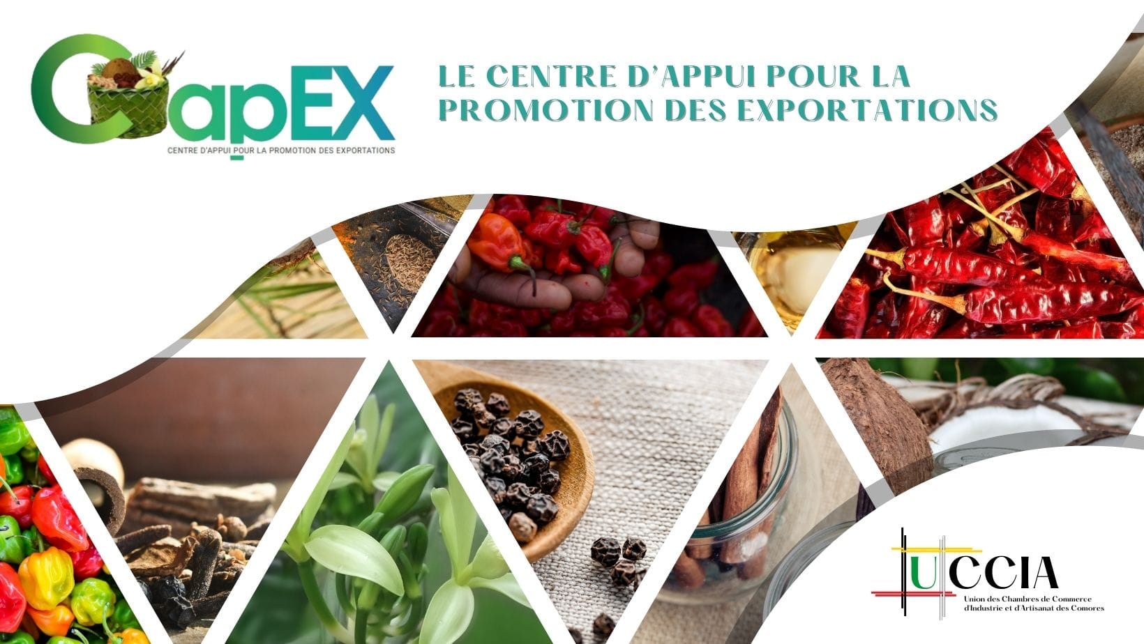 Capex, Produit